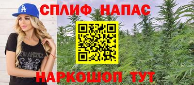 наркотики Кингисепп