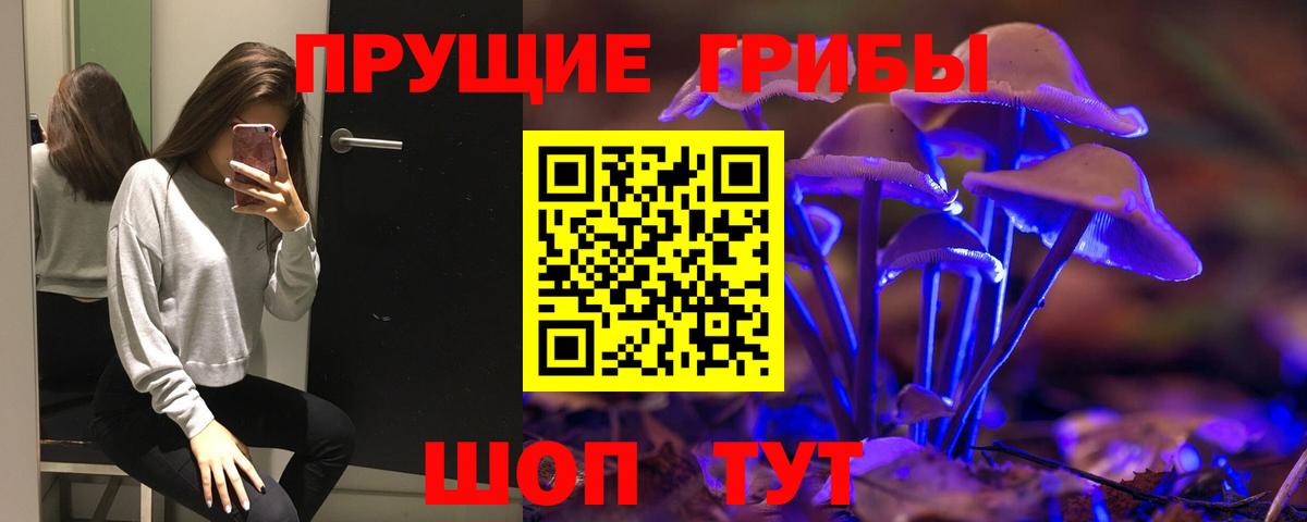 Псилоцибиновые грибы Psilocybine cubensis Кириши